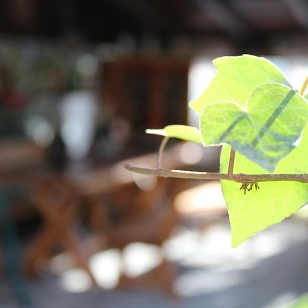 Casa Ella 호텔 시나이아 외부 사진